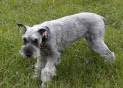 Double-click here to change image
